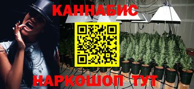 Альфа ПВП Будённовск