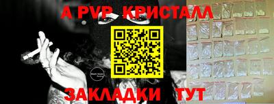 Альфа ПВП Будённовск
